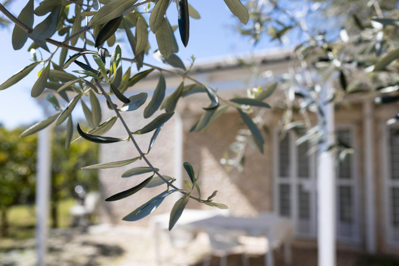 Villa Lama Cupa -Samarelle Molfetta Esterno foto